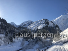 Fallerschein im Winter