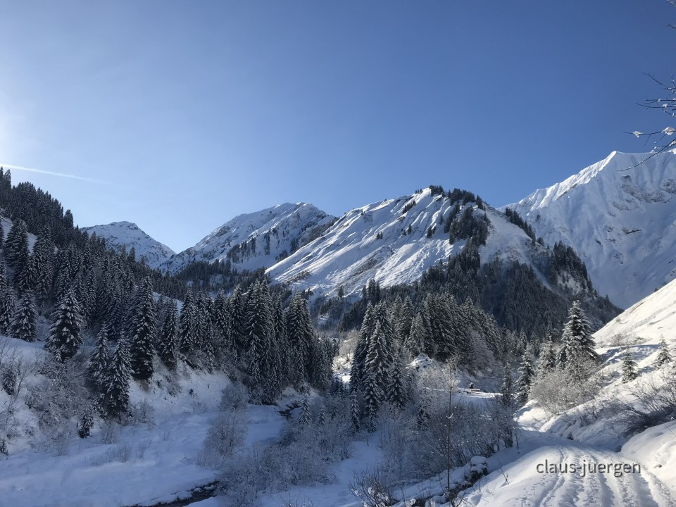 Fallerschein im Winter