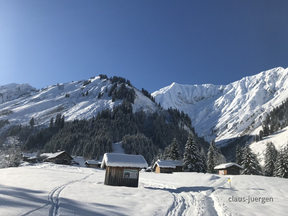 Fallerschein im Winter