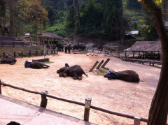 Mae Rim