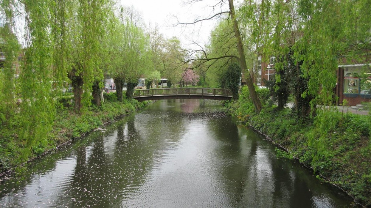 Buxtehude_05