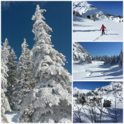 Schneeschuhwandern