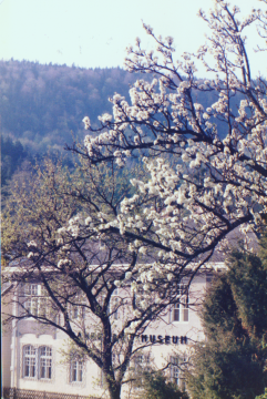 Scheuchenstein Gauermann-Museum