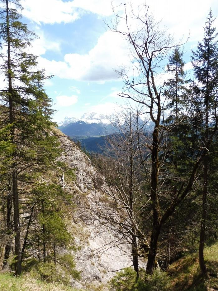 Esterbergalm