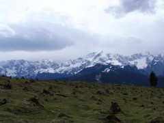 Esterbergalm