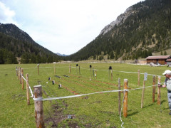 Esterbergalm
