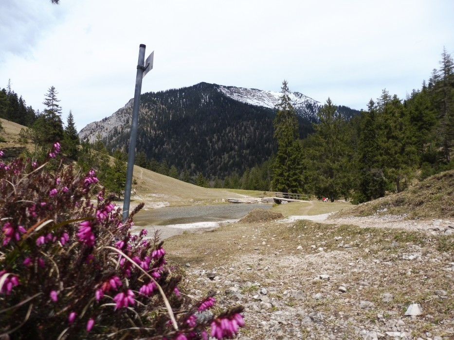 Esterbergalm