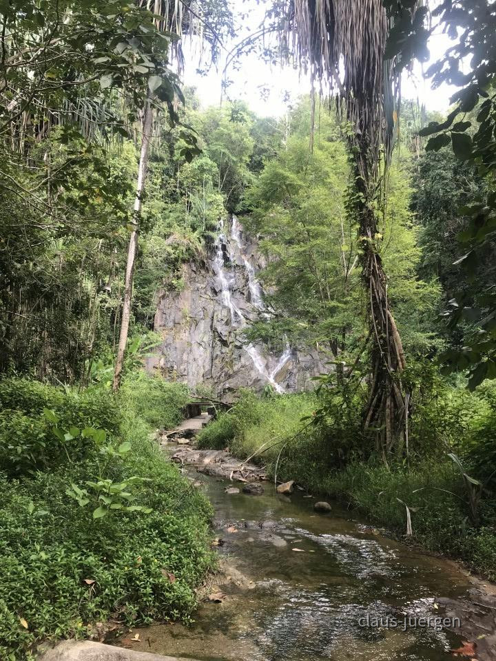 ?random=0&maxWidth=0&embedded=0&thumbnail=large