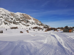 Tauplitzalm 2020
