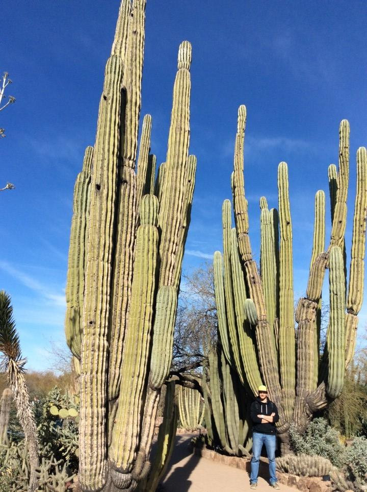 Desert Botanical Garden Phoenix