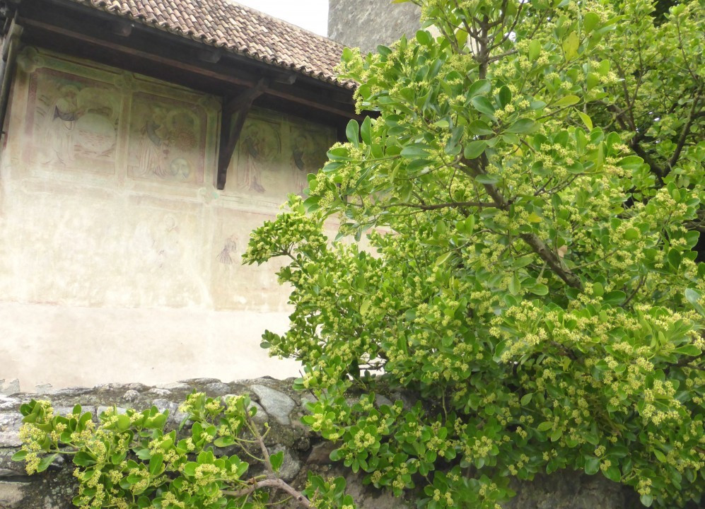 P1080058