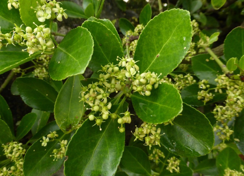 P1080062