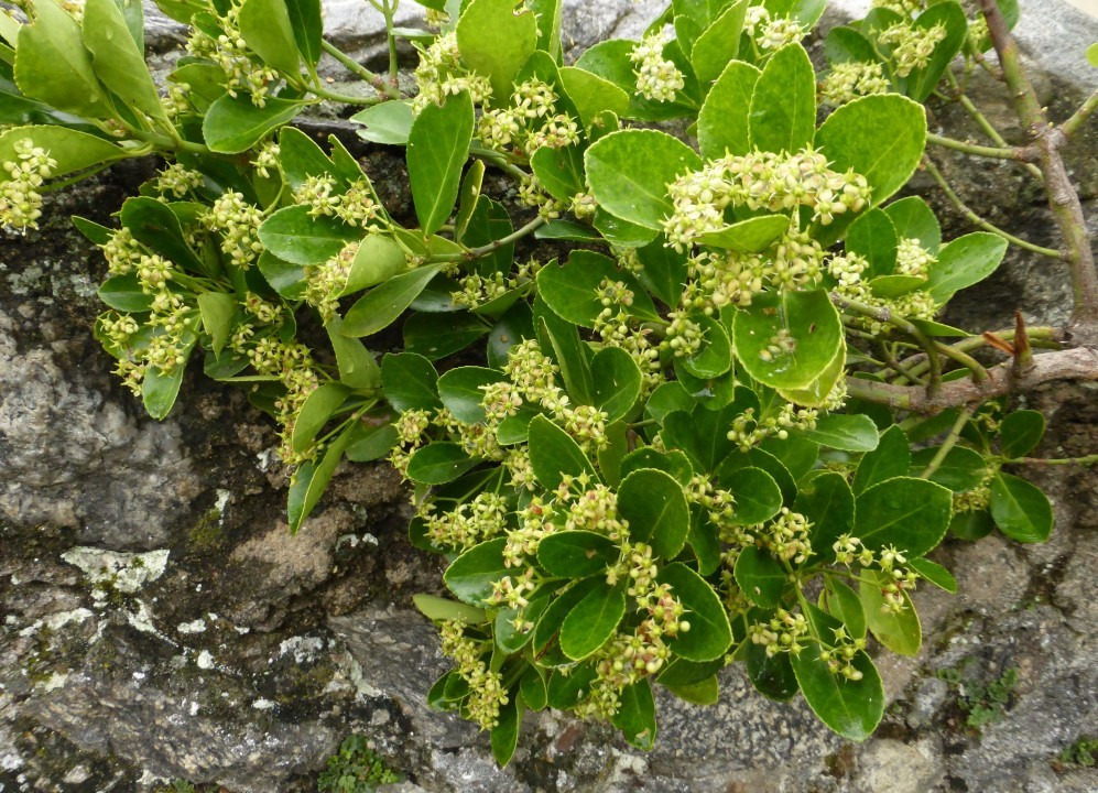 P1080060
