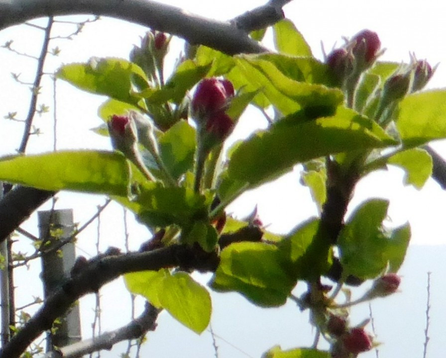 P1020848