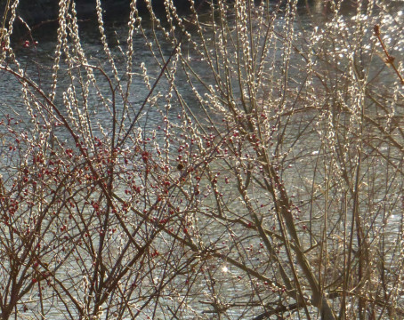 P1180939a