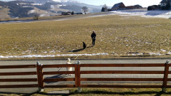 Heimweg