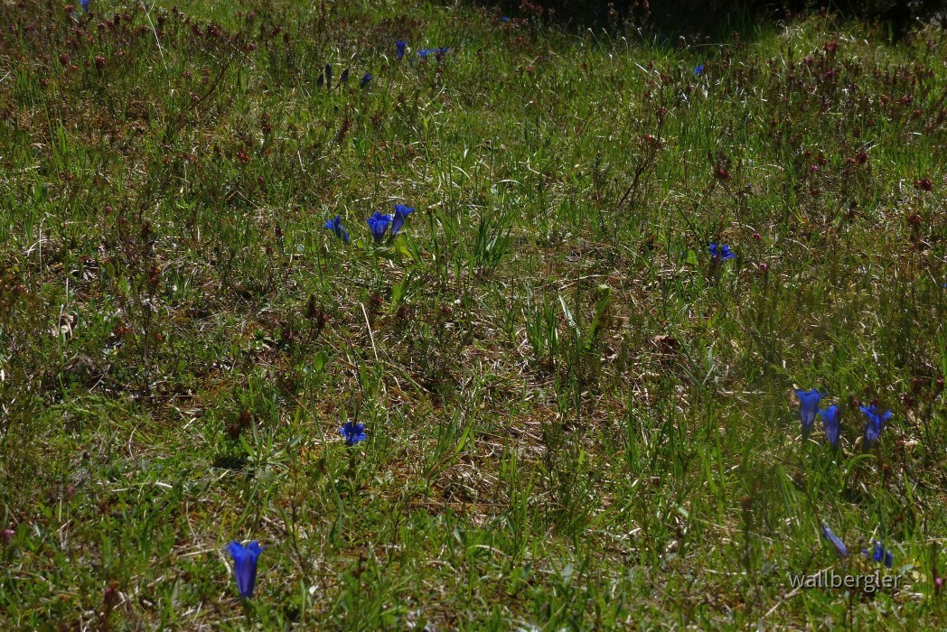 P1020520