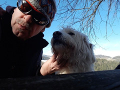 Hund und Herrl
