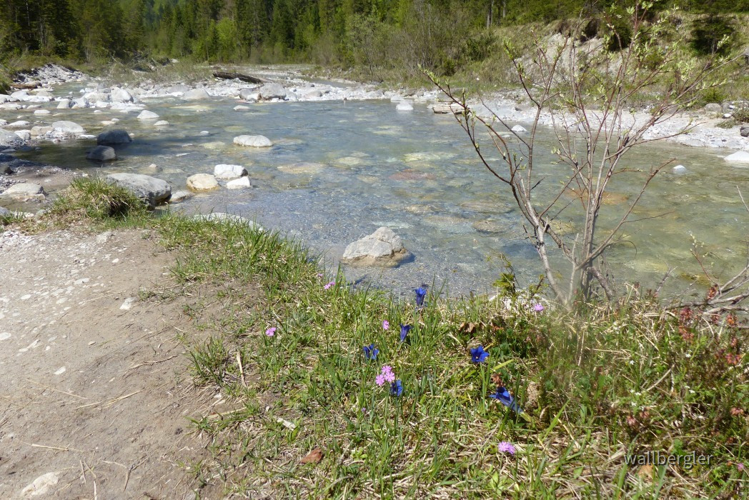 P1020530