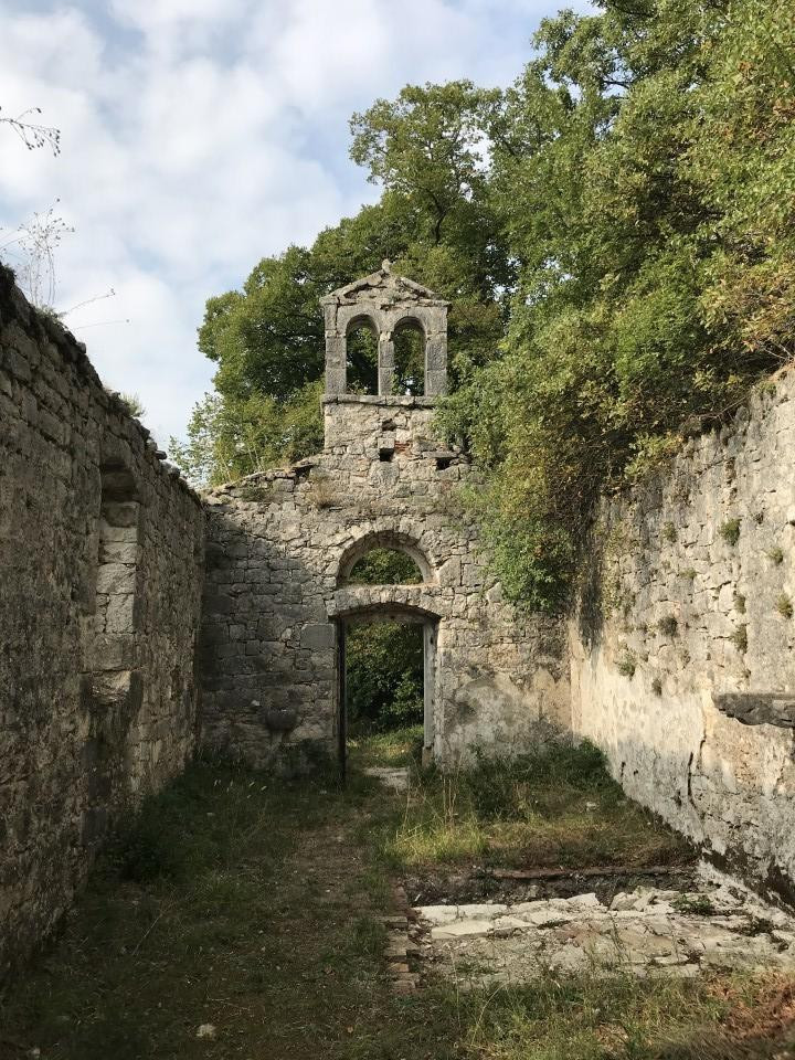 ?random=0&maxWidth=0&embedded=0&thumbnail=large