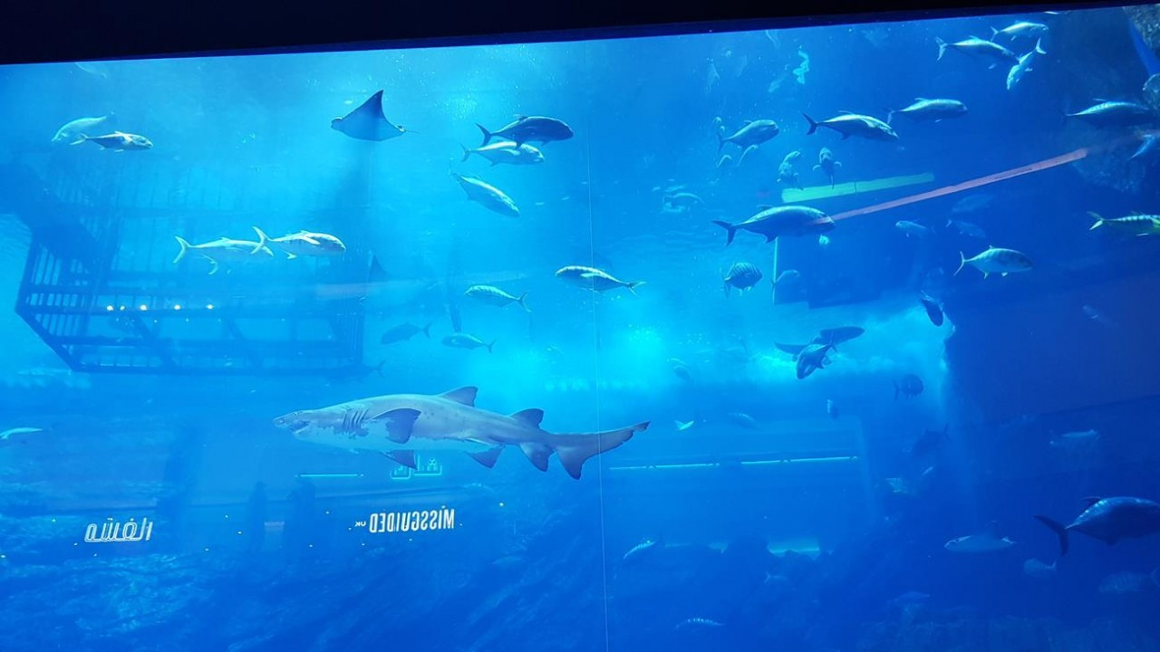 Dubai2_04