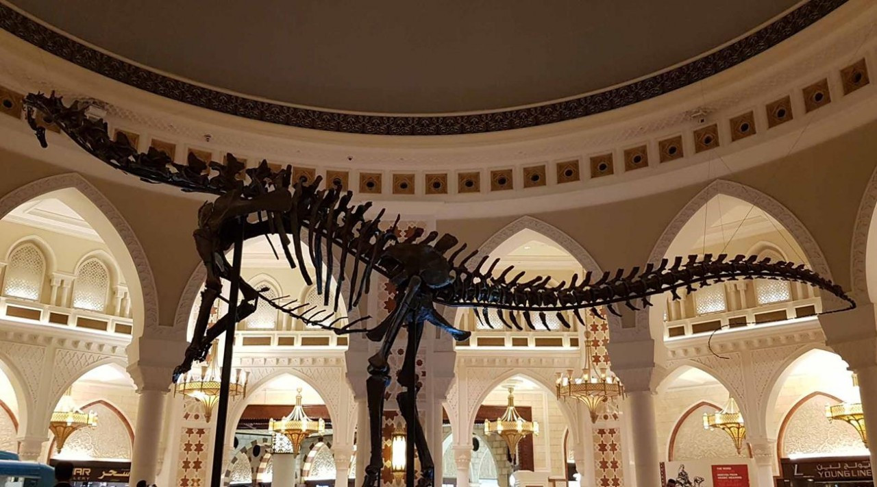 Dubai2_08