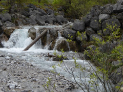 Großer Ahornboden