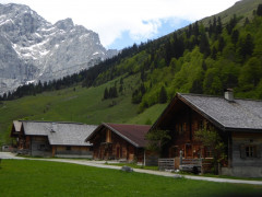 Großer Ahornboden