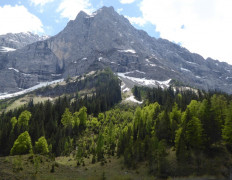 Großer Ahornboden