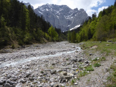 Großer Ahornboden
