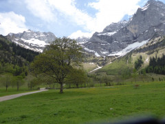 Großer Ahornboden
