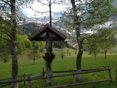 Großer Ahornboden