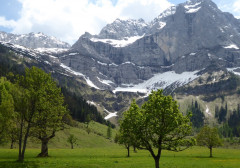 Großer Ahornboden