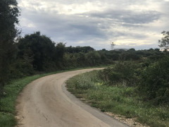Monte Kope 