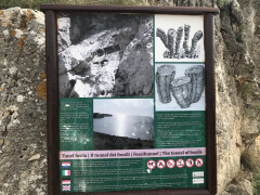 Monte Kope 