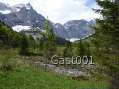 03 Großer Ahornboden