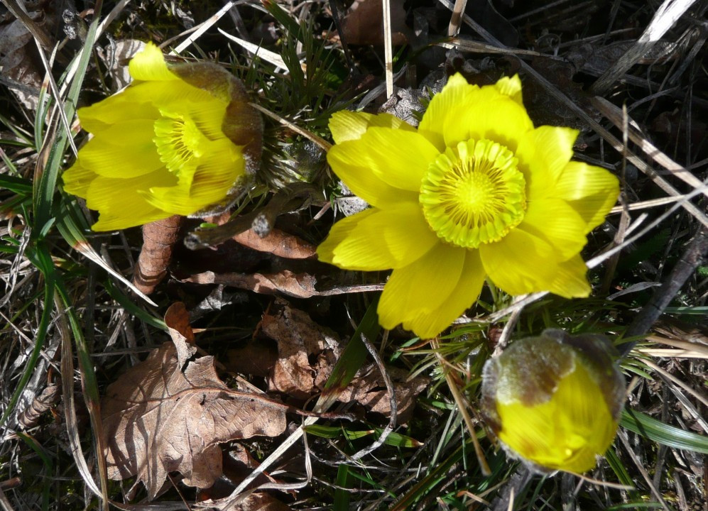 P1120303