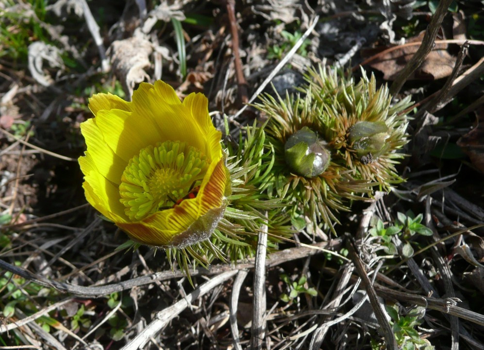 P1120312