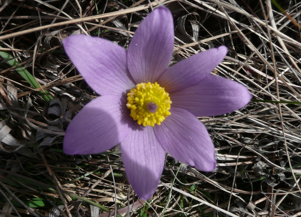 P1120317