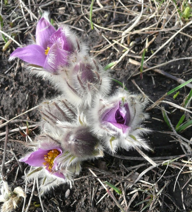 P1120323