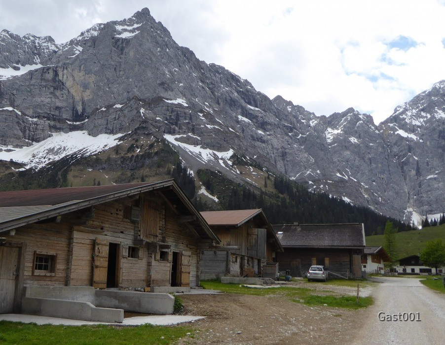 13 Großer Ahornboden