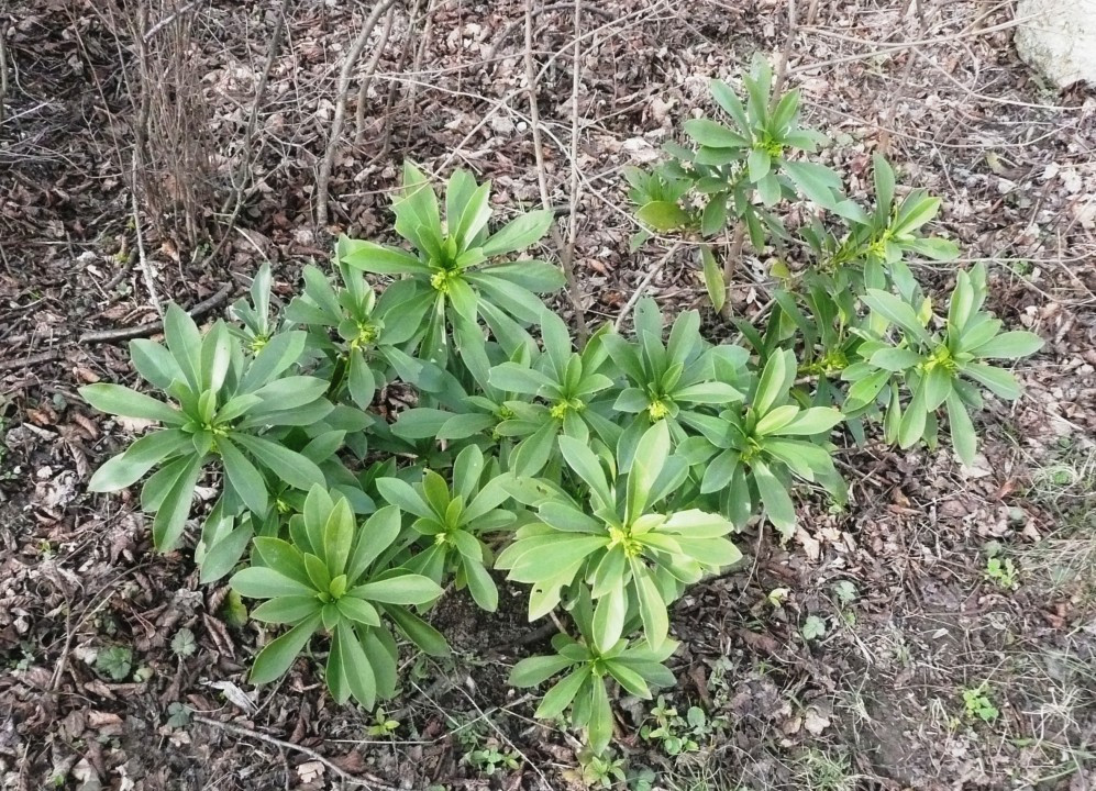 P1120345