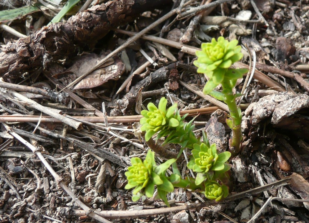 P1120350