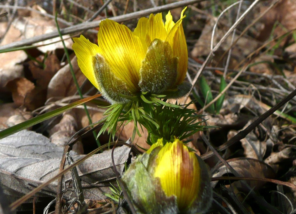 P1120379