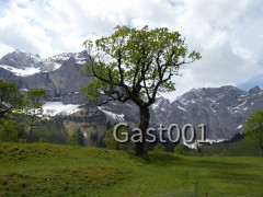 05 Großer Ahornboden