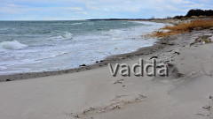 Zingst 2020