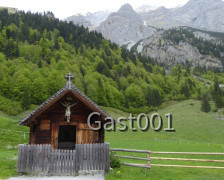 09 Großer Ahornboden