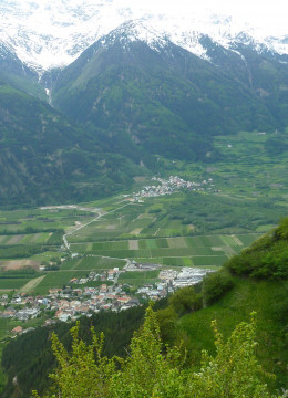 Tanas-St.Peter 2012 (1)