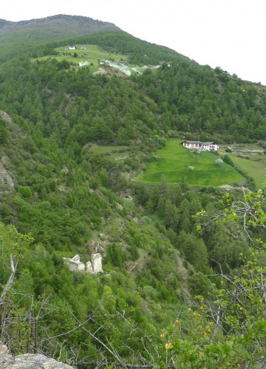 Tanas-St.Peter 2012 (3)