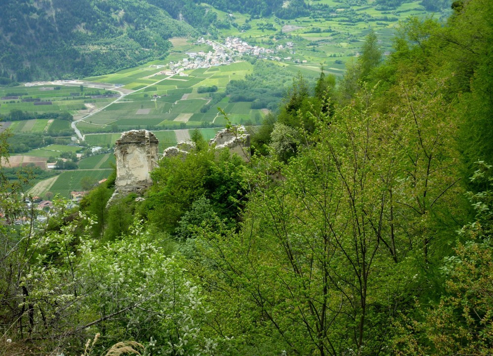Tanas-St.Peter 2012 (4)